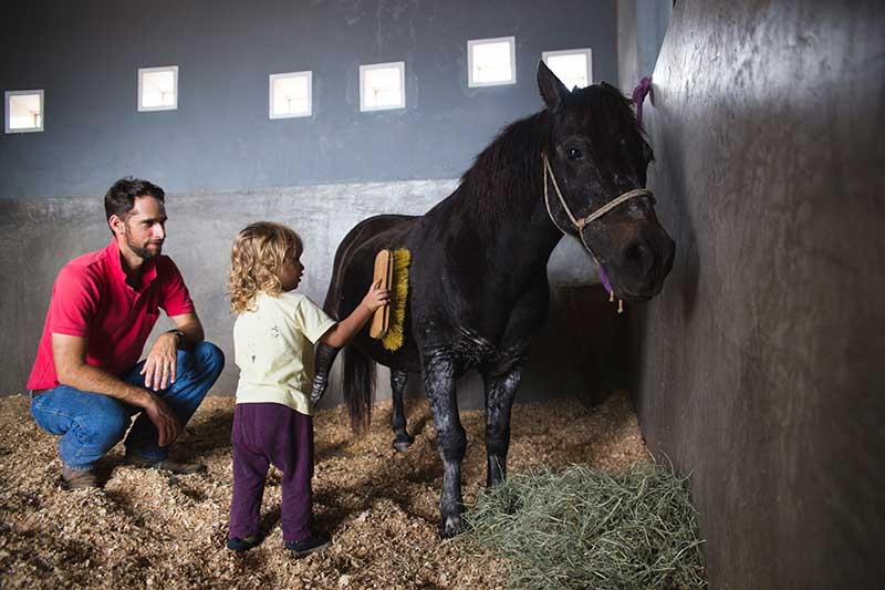 Equitacao Ludica Para Criancas De 02 A 07 Anos Conexao Equestre